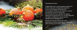 День рождения АЕГЭ! превью