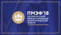 «АЕГЭ-АЭРО» – активный участник организации «ПМЭФ-2018» фото