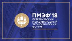 «АЕГЭ-АЭРО» – активный участник организации «ПМЭФ-2018» превью
